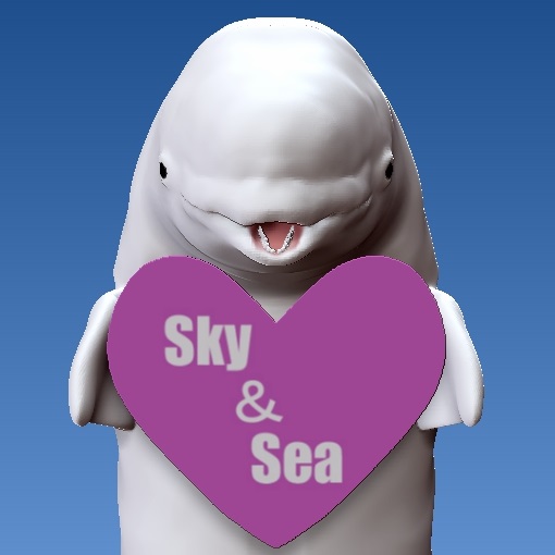Sky＆Sea 3D STUDIOS